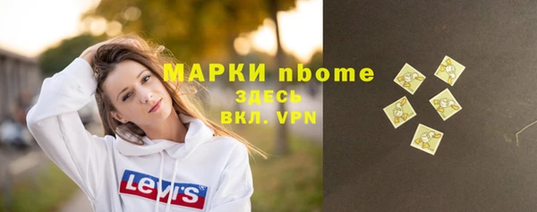 тгк Пересвет