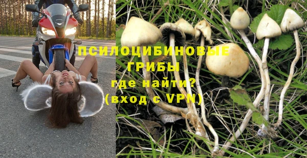 мескалин Пестово