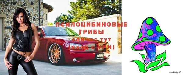 гашик Весьегонск