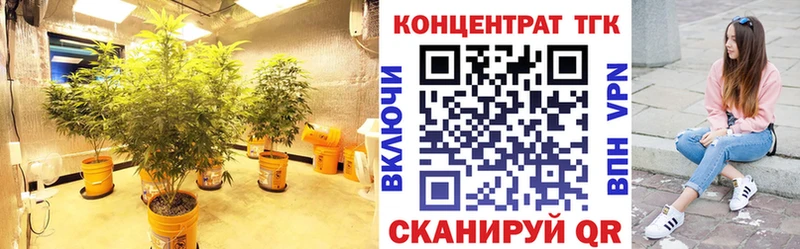 Дистиллят ТГК Wax  blacksprut   Сергач 